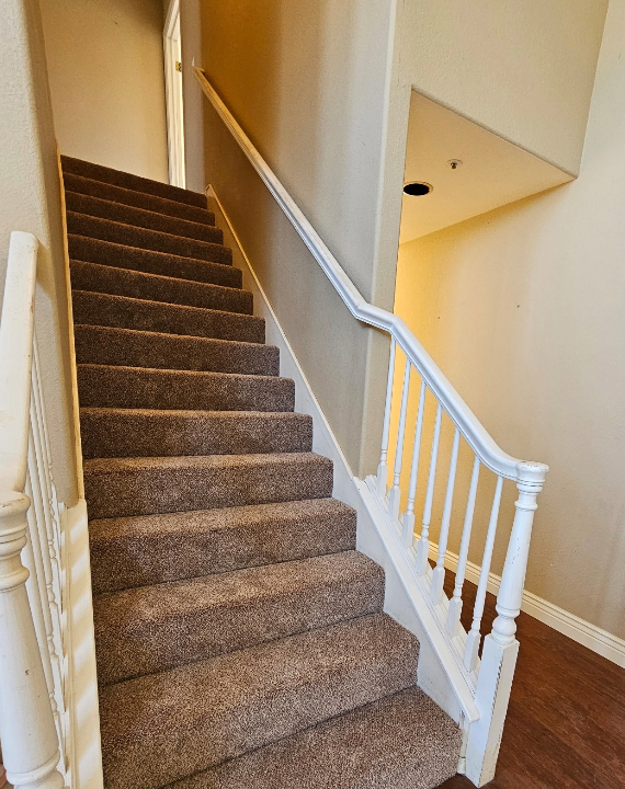 Animated carpet exploded view